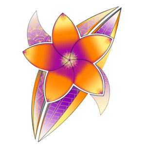 Summer time Youth collection 2 Design